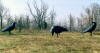 3 Crows