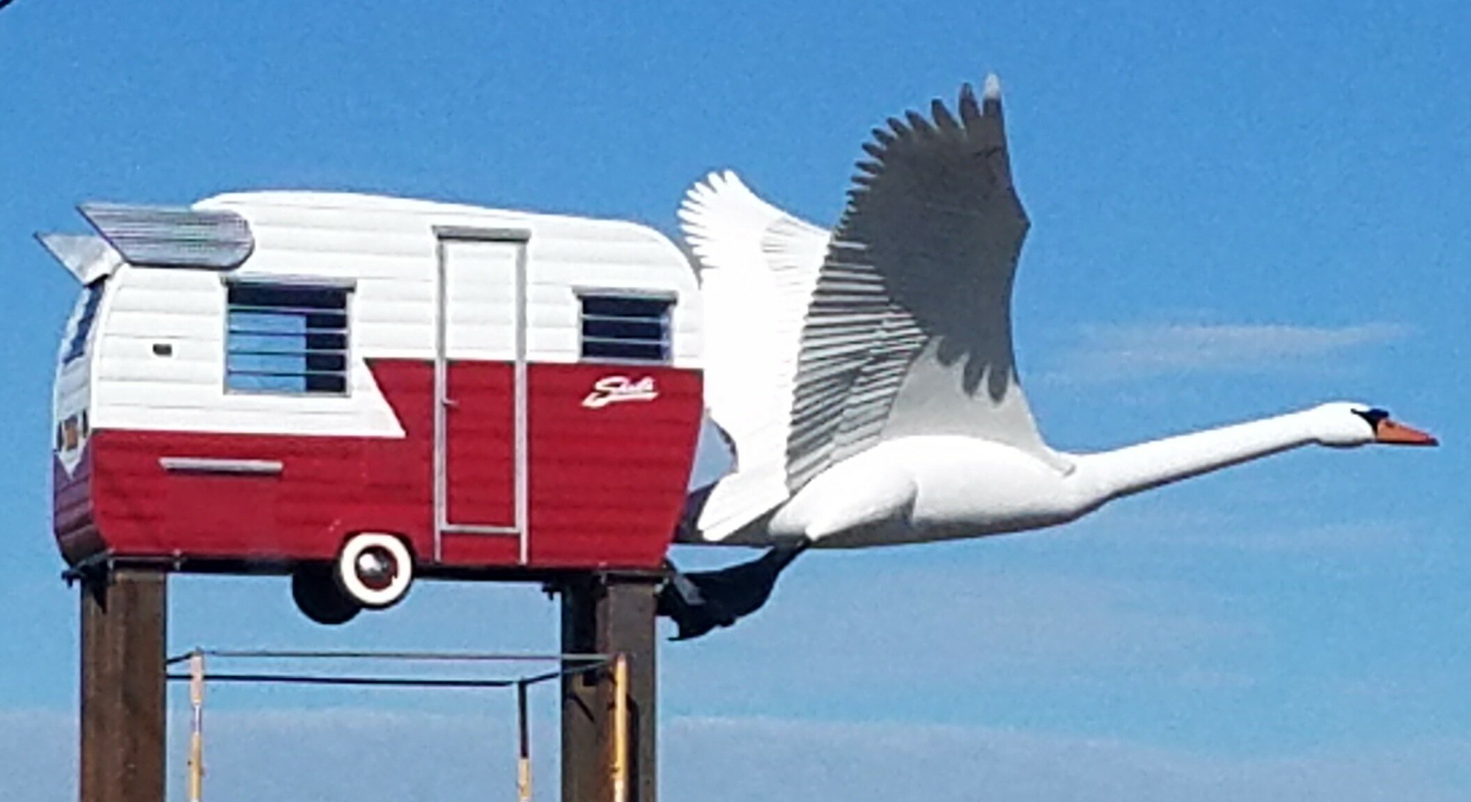 Swan Installed 5/8/17